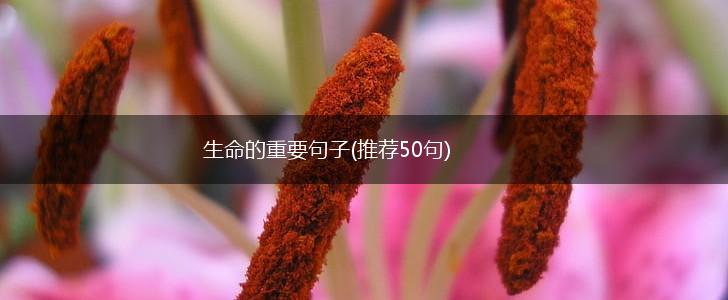 生命的重要句子(推荐50句),第1张