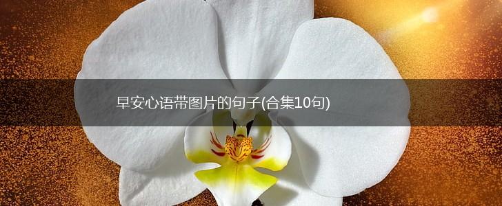 早安心语带图片的句子(合集10句),第1张