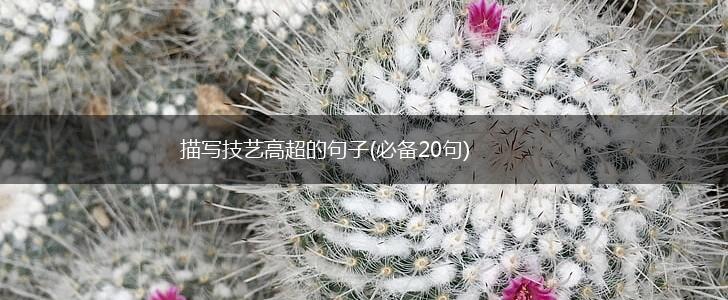 描写技艺高超的句子(必备20句),第1张