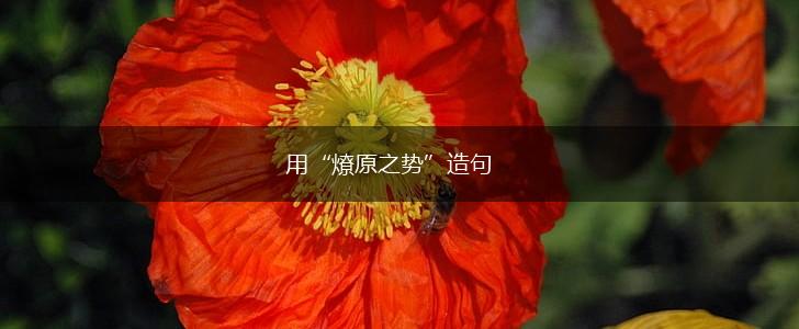 用“燎原之势”造句,第1张