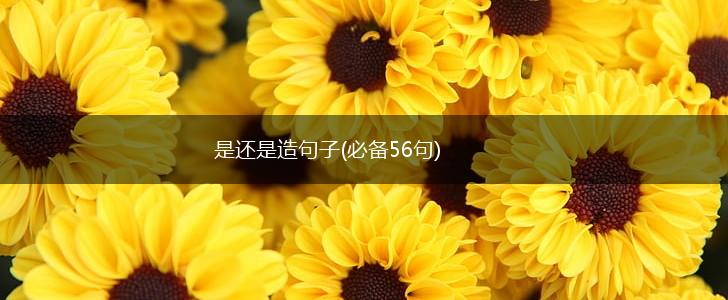 是还是造句子(必备56句),第1张