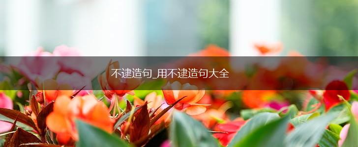 不逮造句_用不逮造句大全,第1张