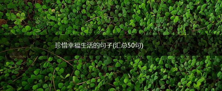珍惜幸福生活的句子(汇总50句),第1张