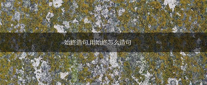始終造句,用始終怎么造句,第1张