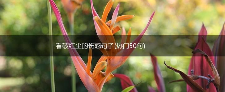 看破红尘的伤感句子(热门50句),第1张