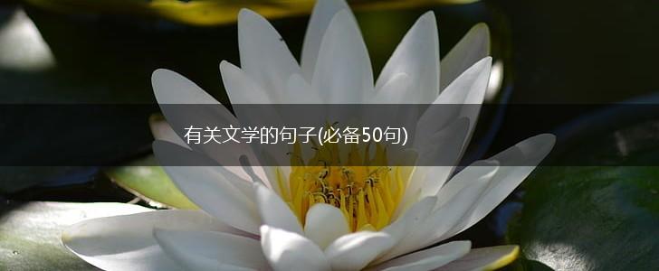 有关文学的句子(必备50句),第1张