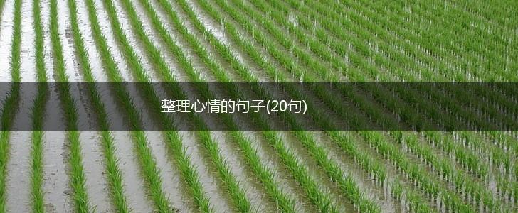 整理心情的句子(20句),第1张