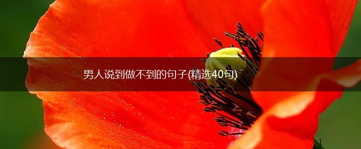 男人说到做不到的句子(精选40句),第1张