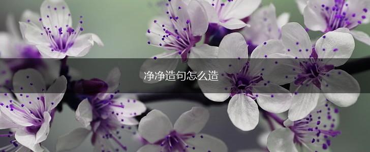 净净造句怎么造,第1张