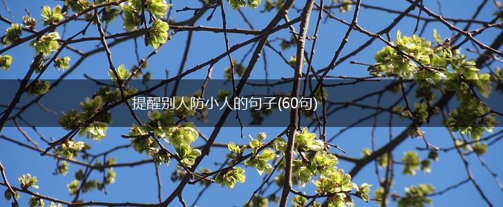 提醒别人防小人的句子(60句),第1张