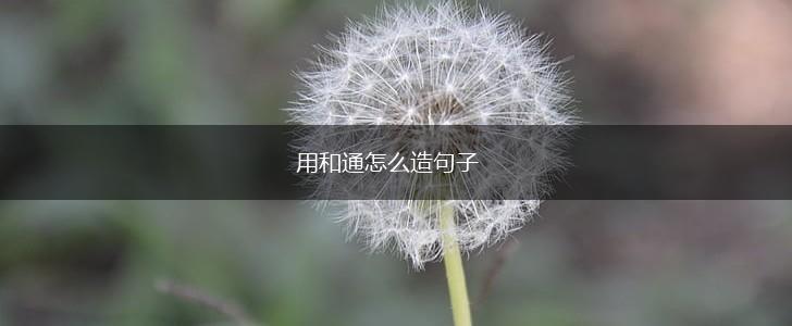 用和通怎么造句子,第1张