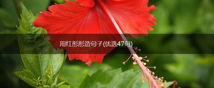 用红彤彤造句子(优选47句),第1张
