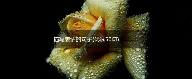 描写表情的句子(优选50句),第1张