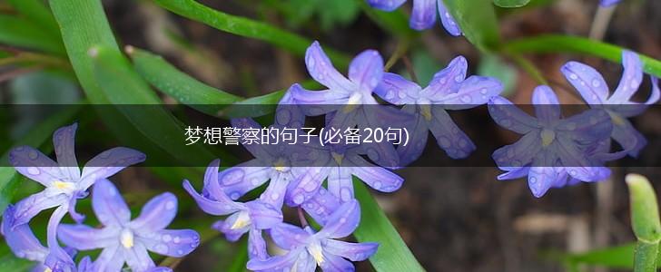 梦想警察的句子(必备20句),第1张