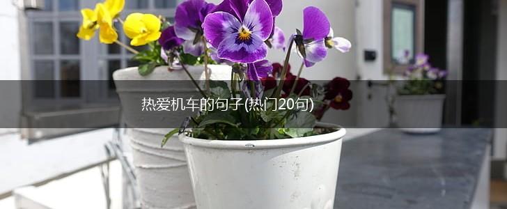 热爱机车的句子(热门20句),第1张
