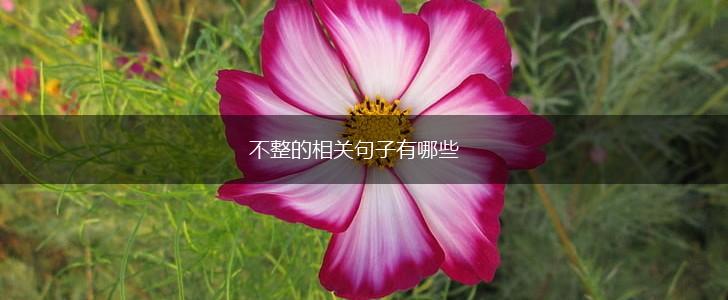 不整的相关句子有哪些,第1张