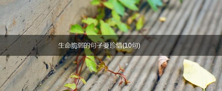生命脆弱的句子要珍惜(10句),第1张