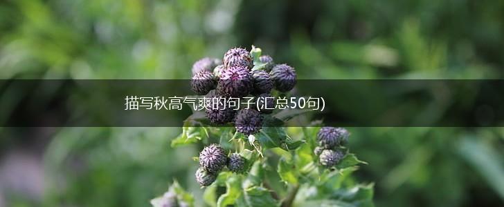 描写秋高气爽的句子(汇总50句),第1张