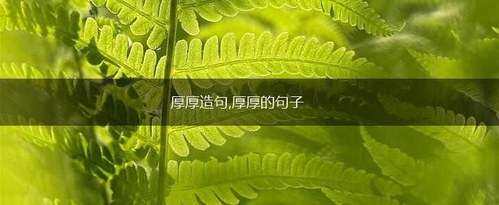 厚厚造句,厚厚的句子,第1张