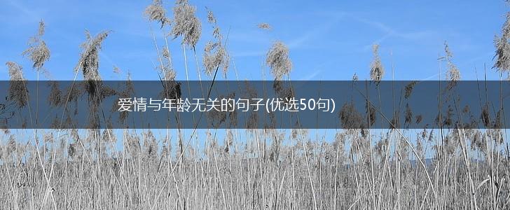 爱情与年龄无关的句子(优选50句),第1张