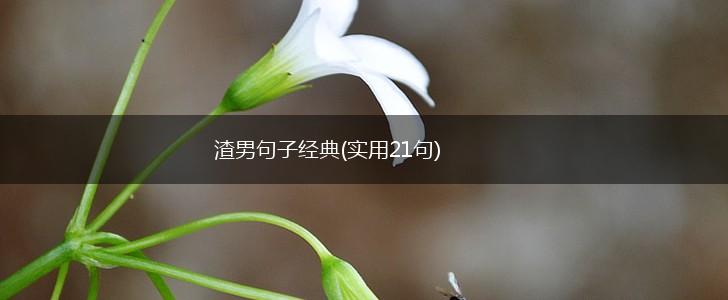 渣男句子经典(实用21句),第1张