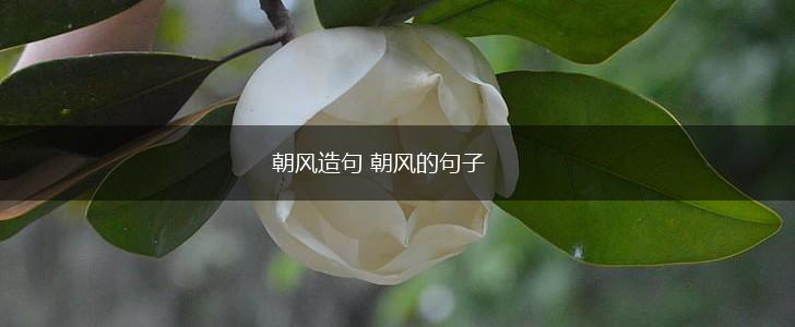 朝风造句 朝风的句子,第1张