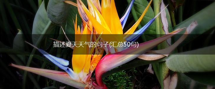 描述夏天天气的句子(汇总50句),第1张