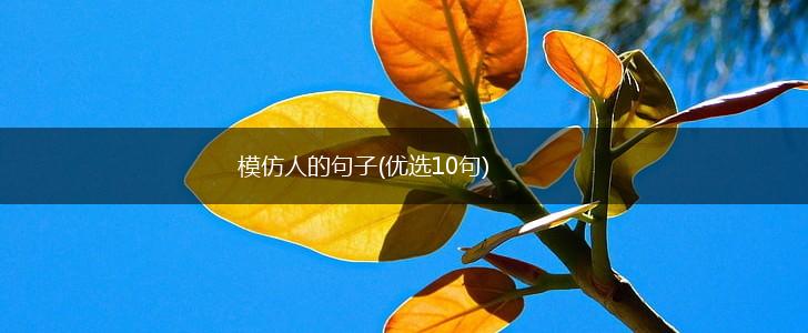 模仿人的句子(优选10句),第1张