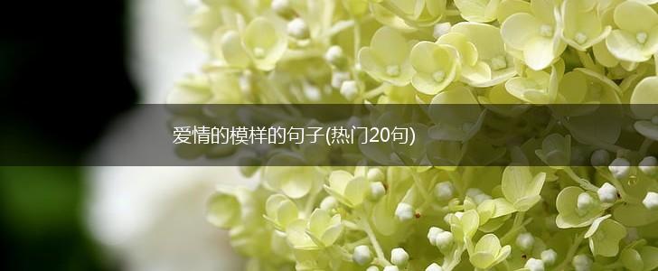 爱情的模样的句子(热门20句),第1张