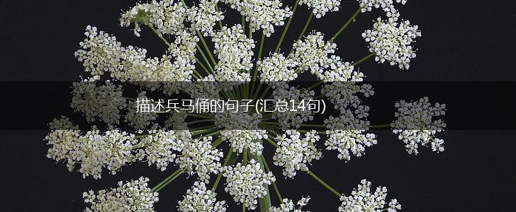 描述兵马俑的句子(汇总14句),第1张