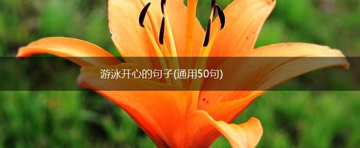 游泳开心的句子(通用50句),第1张