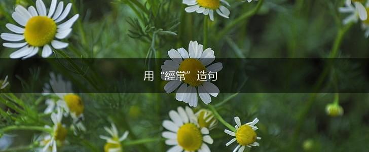 用“經常”造句,第1张