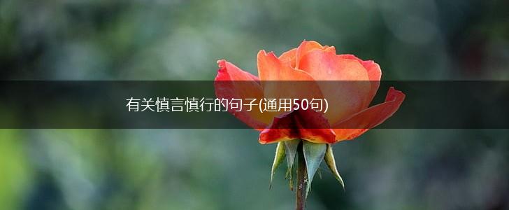 有关慎言慎行的句子(通用50句),第1张