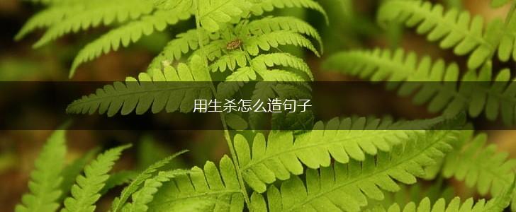 用生杀怎么造句子,第1张