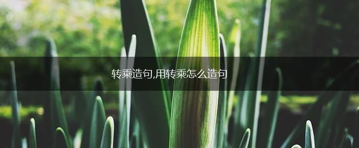 转乘造句,用转乘怎么造句,第1张