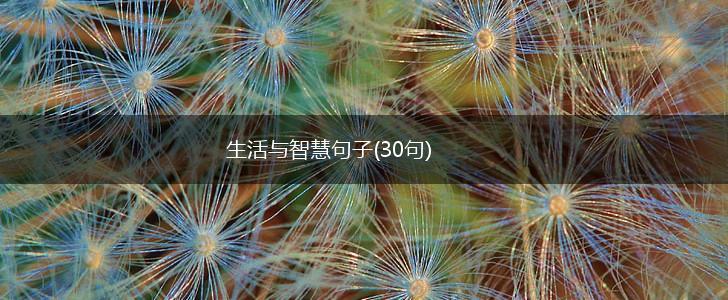 生活与智慧句子(30句),第1张