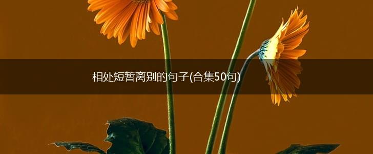相处短暂离别的句子(合集50句),第1张