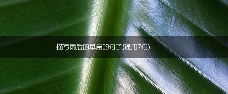 描写雨后的早晨的句子(通用7句),第1张