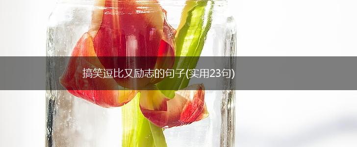 搞笑逗比又励志的句子(实用23句),第1张