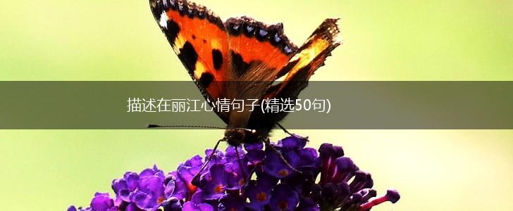 描述在丽江心情句子(精选50句),第1张