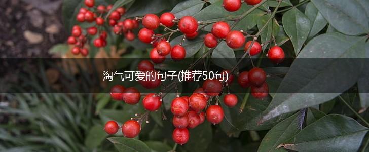 淘气可爱的句子(推荐50句),第1张