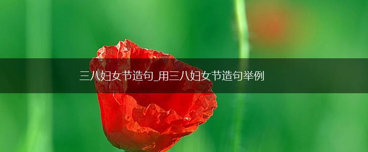 三八妇女节造句_用三八妇女节造句举例,第1张