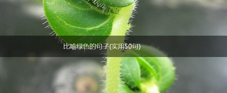比喻绿色的句子(实用50句),第1张