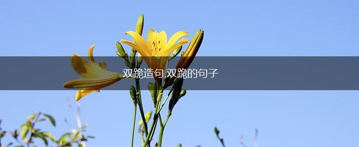 双跪造句,双跪的句子,第1张