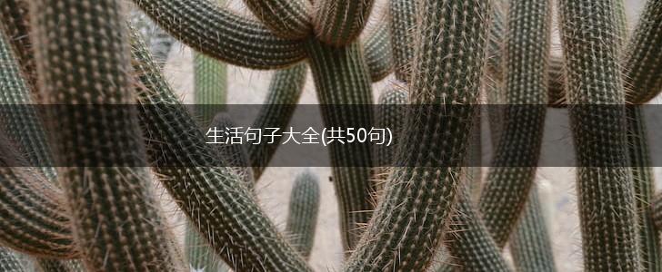 生活句子大全(共50句),第1张