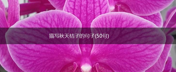 描写秋天桔子的句子(50句),第1张