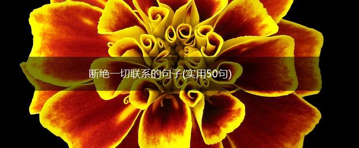 断绝一切联系的句子(实用50句),第1张