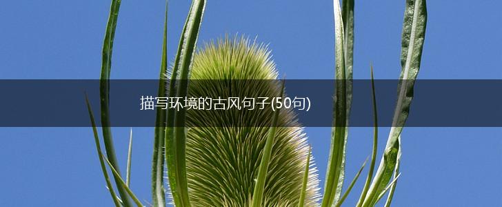 描写环境的古风句子(50句),第1张