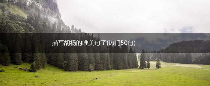 描写胡杨的唯美句子(热门50句),第1张