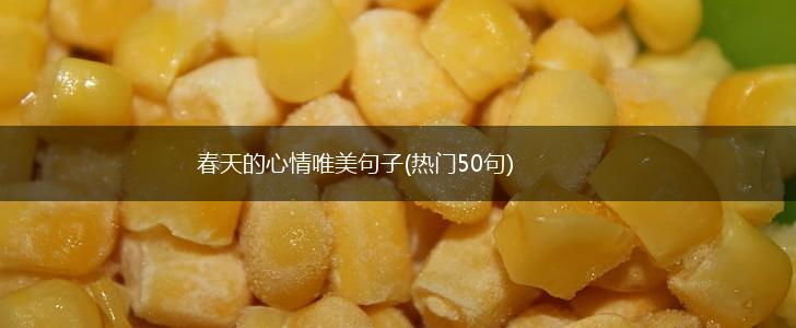 春天的心情唯美句子(热门50句),第1张